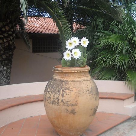 Hotel Villaggio Cala Di Volpe Капо Ватикано Екстериор снимка