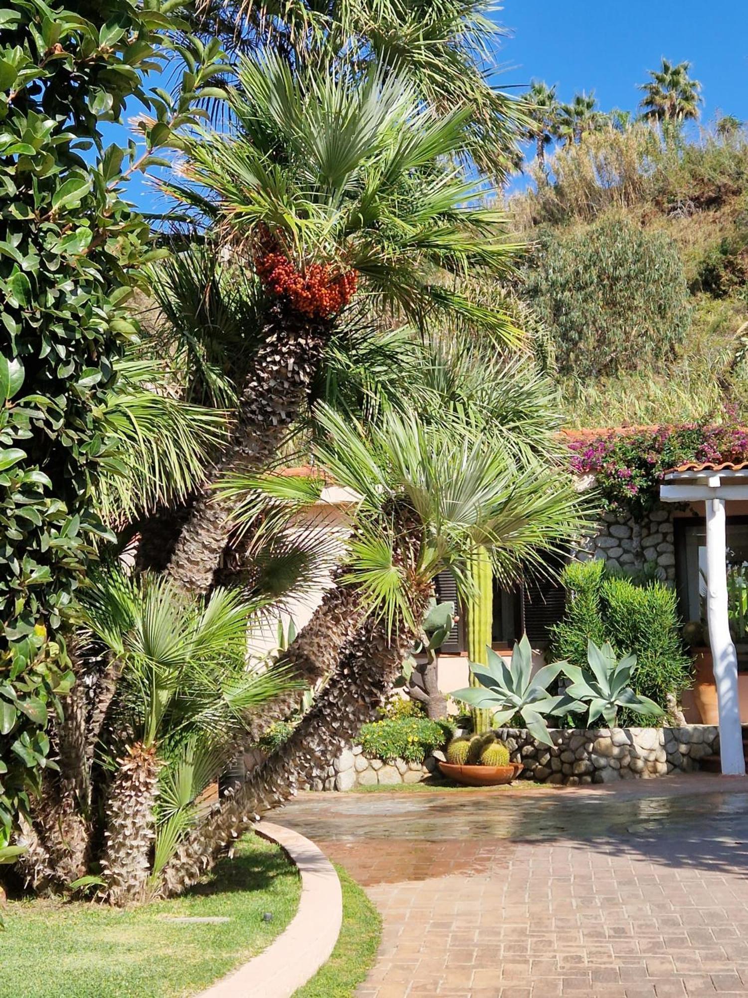 Hotel Villaggio Cala Di Volpe Капо Ватикано Екстериор снимка