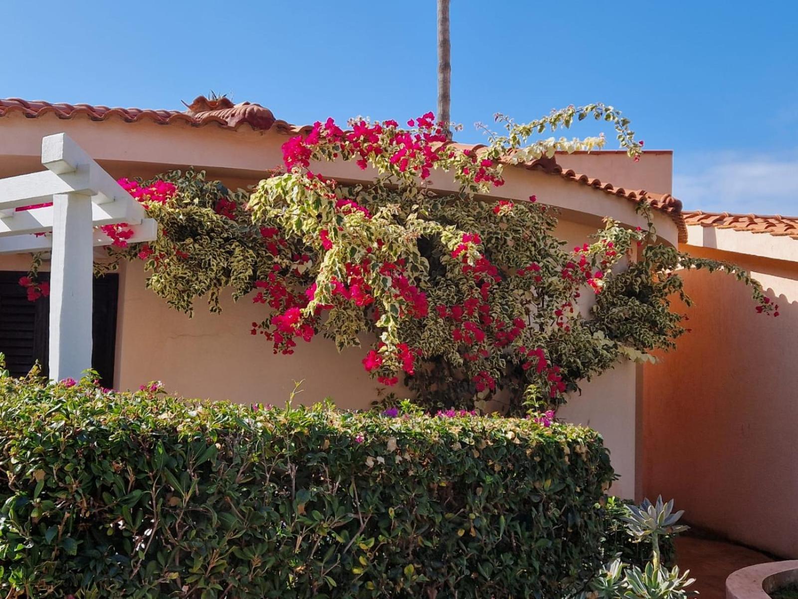 Hotel Villaggio Cala Di Volpe Капо Ватикано Екстериор снимка